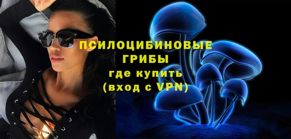 ECSTASY Магас