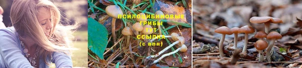 ECSTASY Магас