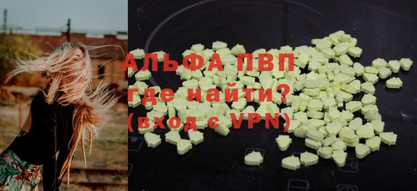 индика Туринск